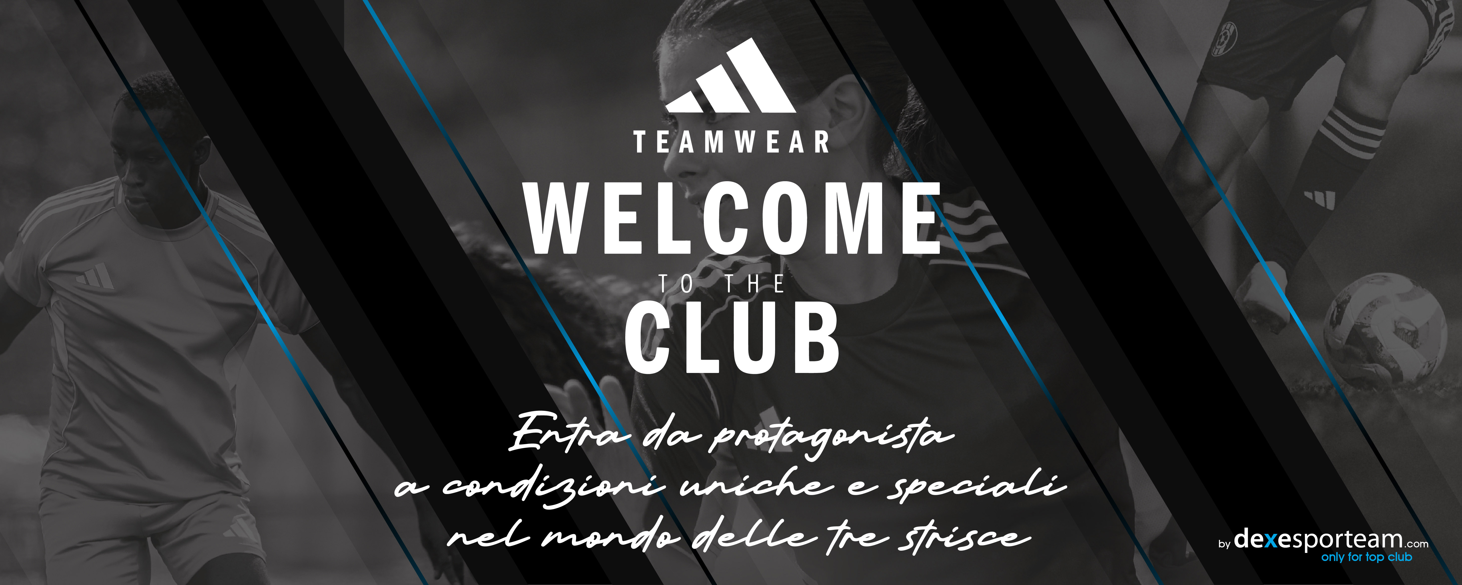 Dexesporteam